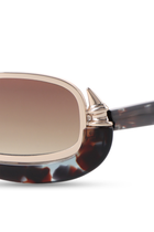 The Falak Shades